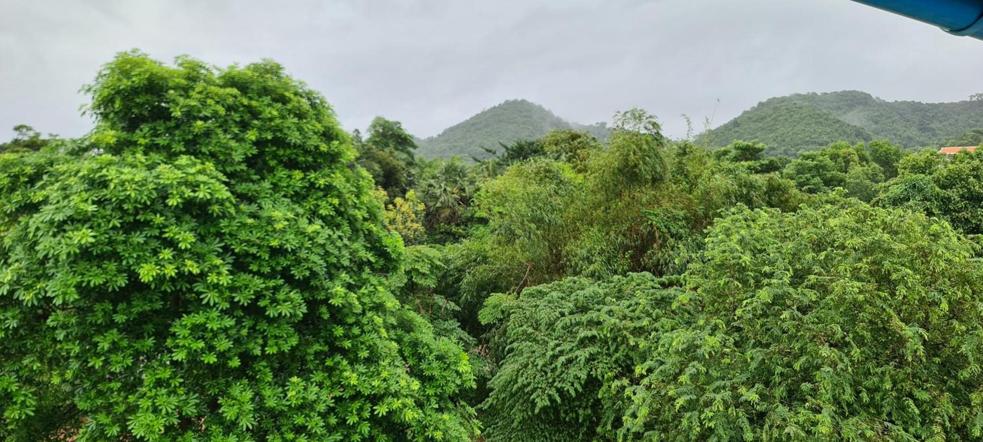 Khmer House Guesthouse Kep Εξωτερικό φωτογραφία